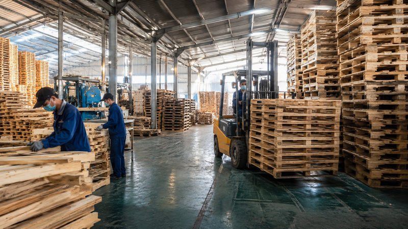 Dịch vụ cung cấp pallet gỗ cho nhà máy, kho bãi và logistics