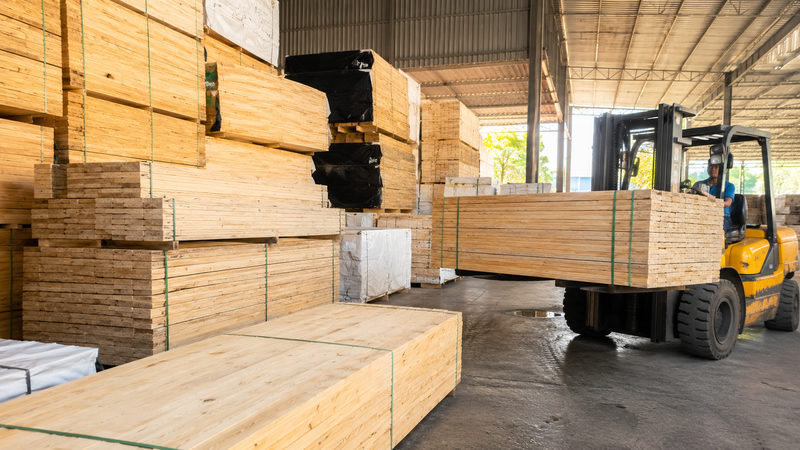 Nhu cầu cung cấp gỗ thông số lượng lớn hiện nay